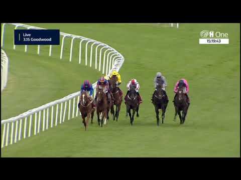Goodwood Cup - Group 1