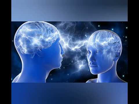 personality Traits "intuitive vs observant "