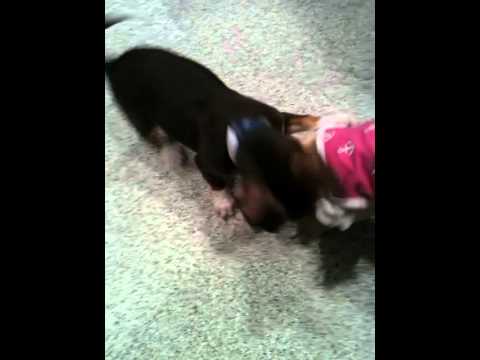 Lily and her boyfriend!