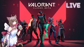 のんびりVALORANT！初見さん大歓迎です！