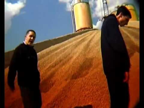 Кучетата - Спрете да крадете