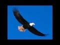 Terry Oldfield with Mike Oldfield - Flight of the Eagle