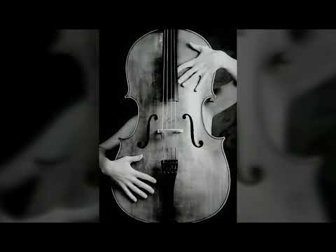 Vaazhkai Violin bgm - Ilaiyaraja