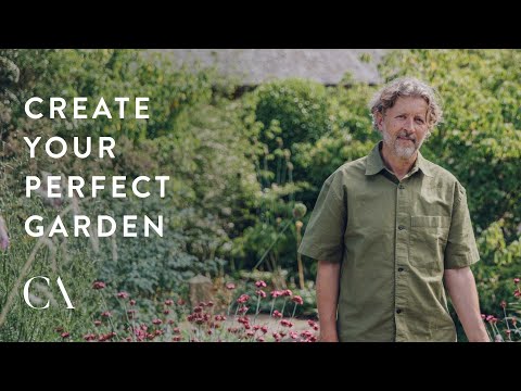 Create Academy | Dan Pearson | An Expert Guide to Planting Design