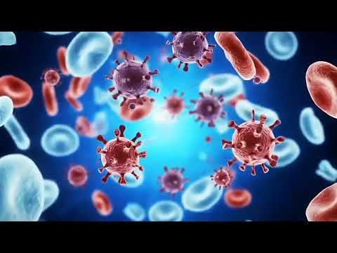 Day 43 – Explored “The Human Body: A Marvel of Creation” 🧠✨ Truly a masterpiece of life! #ACCL