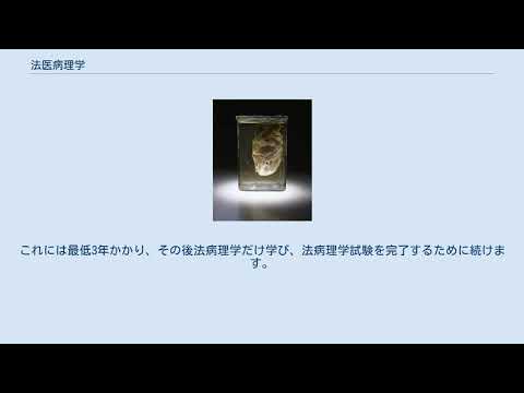 法医病理学者について詳しく解説