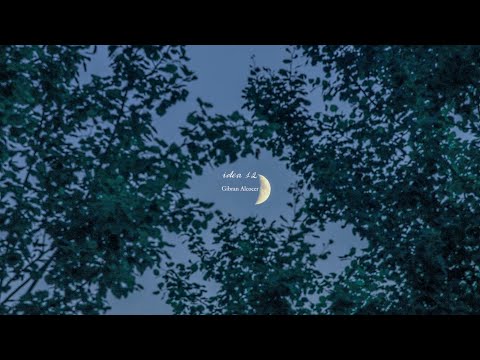 a comfort playlist for quiet nights