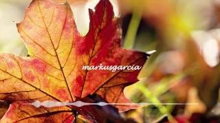 The Aston Shuffle - High With You (Original Mix) [HQ AUDIO]