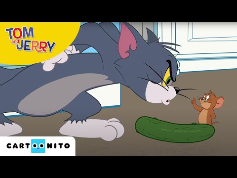 Tom i Jerry Show | Ogórkofobia | Cartoonito