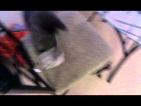 download lagu mp3 mp4 Love Tea Bags, download lagu Love Tea Bags gratis, unduh video klip Love Tea Bags