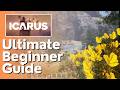 The Ultimate Beginner Guide to Icarus
