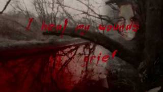 him - song or suicide (with lyrics)