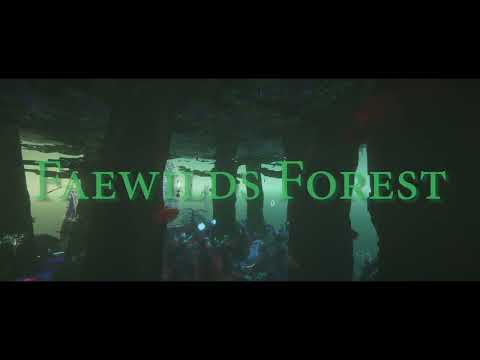 Exploring Faewild Forest with ApeAlvin