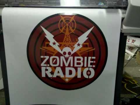 Stay The Night - Zombie Radio