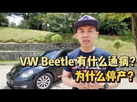 金龜車 二手