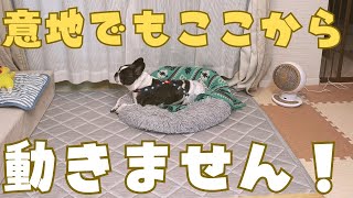 そんなにビビる？！💦