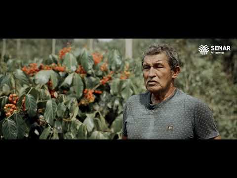 WEBSÉRIE ATEG - CAPÍTULO 4 - ANTÔNIO FERREIRA
