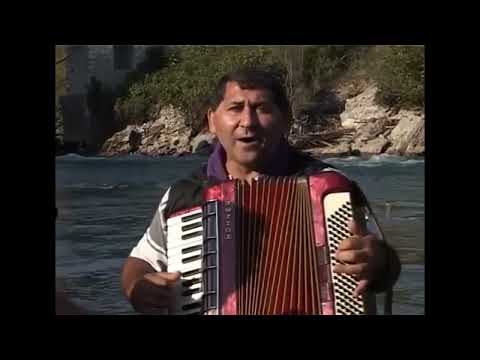 Accordion (harmonika) legend -Another Brick In The Wall, Darling, Paranoid