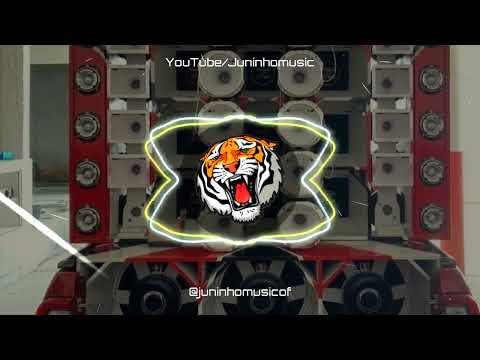 FOI VOCÊ QUEM BRINCOU DE AMOR ME DEIXOU DE LADO - DJ MIZZONTTI E IGUINHO E LULINHA