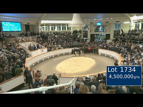 Porta Fortuna sells for 4.5m gns at the Tattersalls December Mares Sale