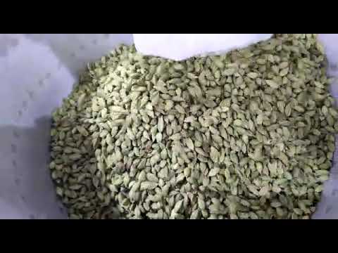 Cardamom Color Sorting Machine