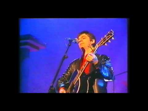 ANDERSON ON THE BOX - ENERGY ORCHARD