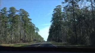 preview picture of video 'driving thru davy crockett national forest'