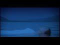 Cocco 雲路の果て Music Video