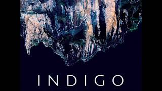 Indigo - Frontline (2019) video