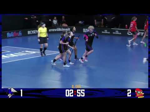 T16 2. Pudotuspelikarsinta: EräViikingit - SSRA 30.3.2025 maalikooste