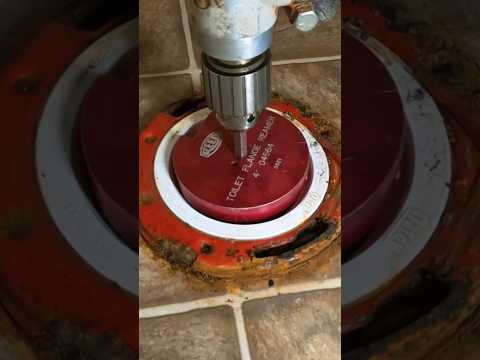 Replacing a toilet flange 🚽💦 #plumbing #plumber #shortsvideo