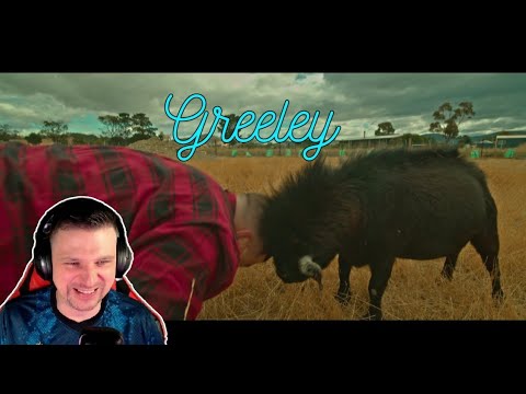 Greeley - Don't Bait The Goat - UK Reaction