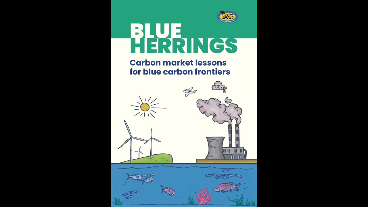 Blue Herrings: Carbon Market Lessons for Blue Carbon Frontiers Launch