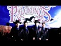 Virgencita-Los Palominos