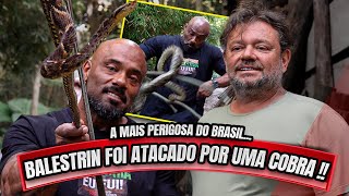 BALESTRIN FOI ATACADO PELA COBRA MAIS PERIGOSA DO BRASIL !!