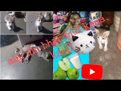 aaji din bhar mui kana kali🙏😊😊