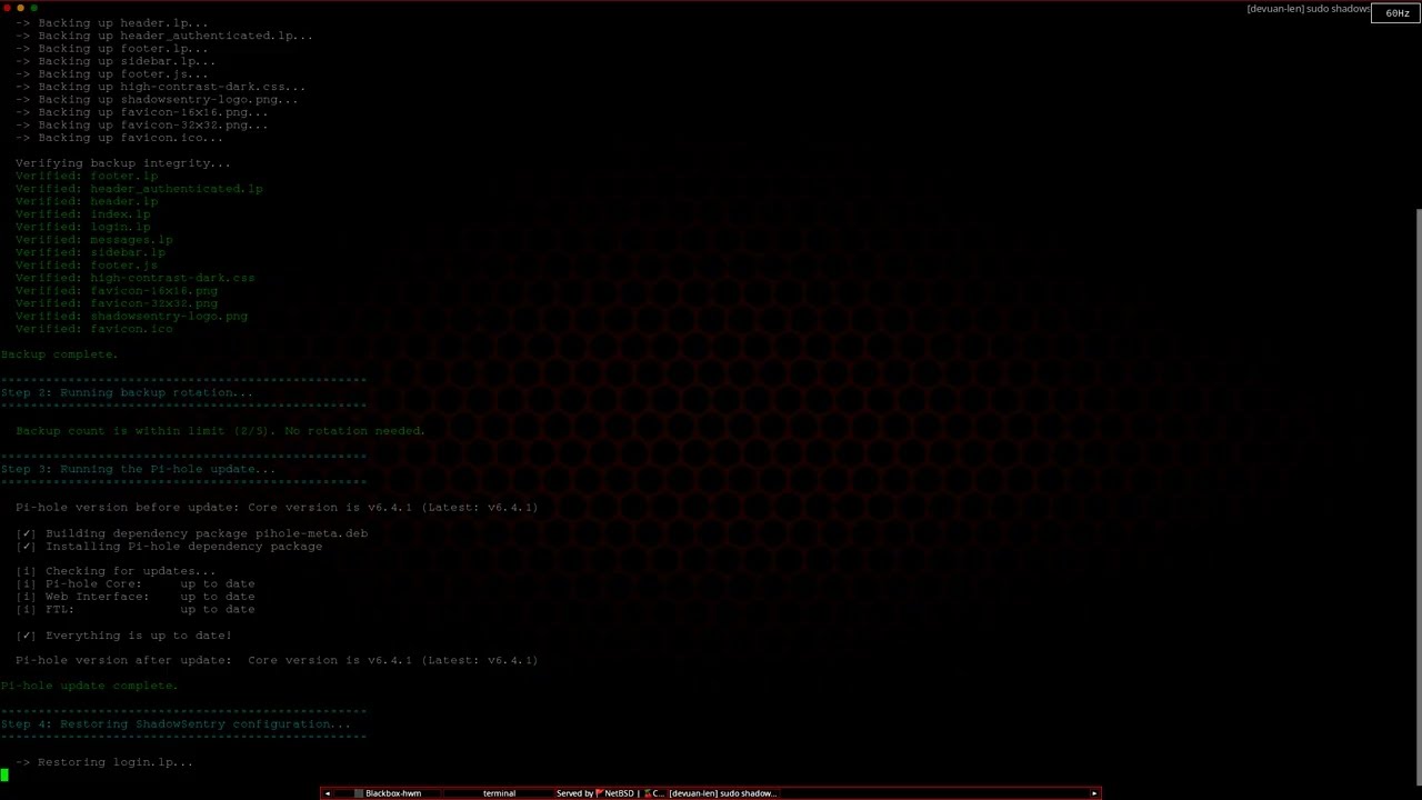 ShadowSentry update tool, code rewrite (runtime)