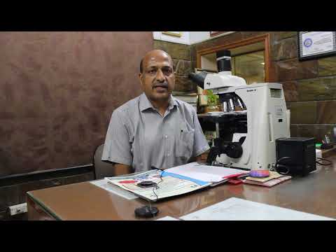 download lagu mp3 mp4 Hope Education And Learning Paradise, download lagu Hope Education And Learning Paradise gratis, unduh video klip Hope Education And Learning Paradise