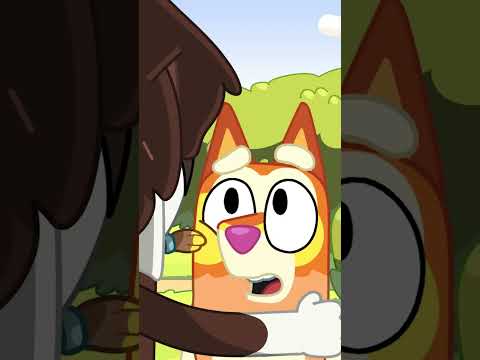 Bingo's Tiger Facepaint 🧡🐯 | Bingo - Official Channel #ytshorts