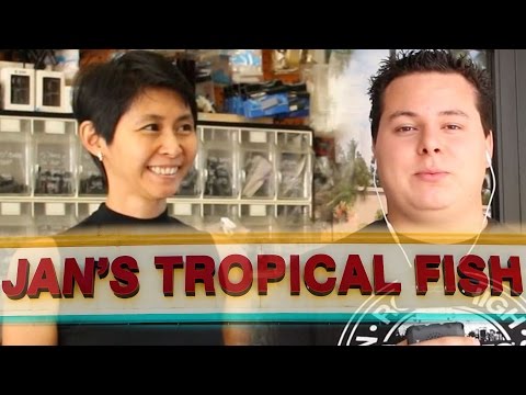 Tropical Fish Store Tours: Jan's Tropical Fish