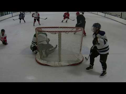 Feb 04 2019 Hockey Goalie CAM 1/5