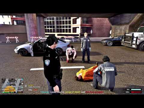 Minneapolis Metro Transit Police - GTA V - LSPDFR