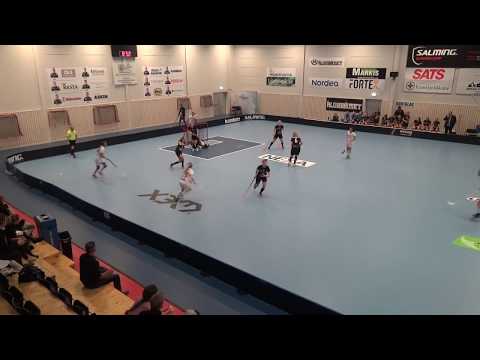 11/2-18 Damer Div.1 VGR Lindås - Floda (7-3) Per2b