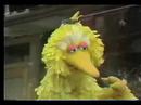 Sesame Street Big Bird Talks About Noses