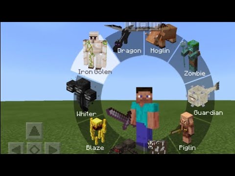 How to morph into any mob in minecraft no mods