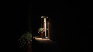 Download lagu The Unexpected Visitor | The RoRo Files EP. 3 mp3 Download lagu The Unexpected Visitor | The RoRo Files EP. 3 mp3