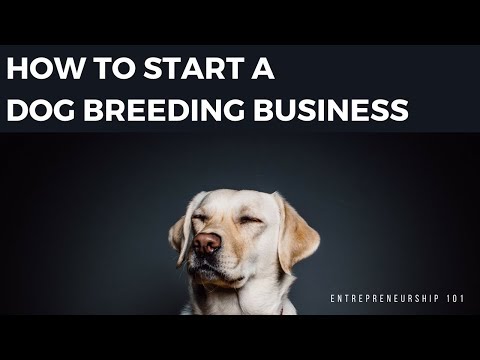 How To Start A Dog Breeding Business From Home - YouTube