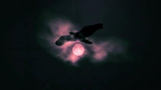 Of The Wand And The Moon ~ The Raven Chant