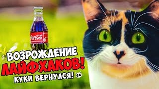 Возвращение Лайфхаков и Куки SlivkiShow | Проверка лайфхаков 2.0