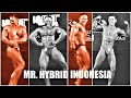 Mr #Hybrid #Indonesia 2017 #ICE #BSDCity 20 Mei 2017 #Binaraga #Open part 2